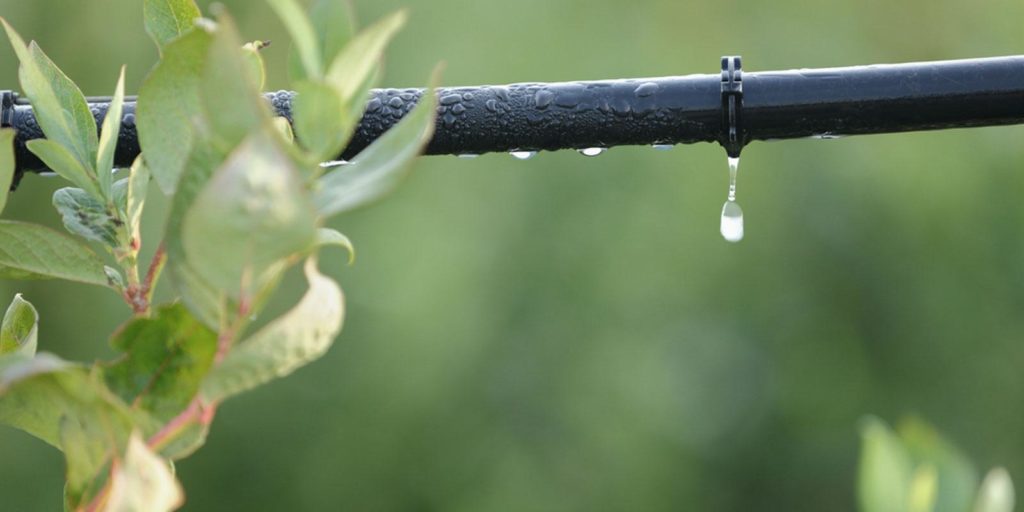 Drip marketing illustrated by a leaky garden hose.