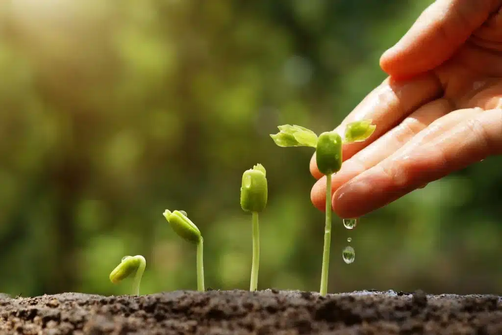 A closeup of a hand nurturing seedlings to illustrate the idea of lead nurturing.